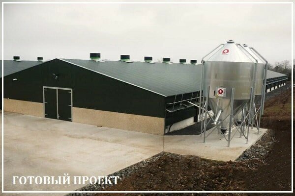 Этапы возведения птицефабрики от завода ВелесТент-сзр